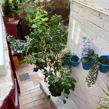 Nice Cozy With Patio 公寓 Santa Coloma de Gramanet